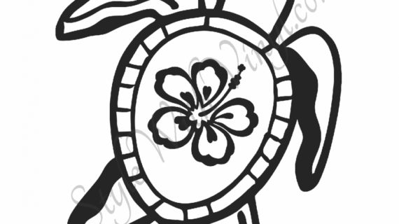 570x320 Hawaiian Flower Drawing