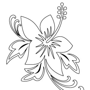 300x300 Flower Outline Coloring Page Flower Outline Coloring Page Kids