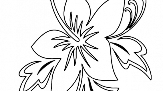 570x320 Hawaiian Flower Drawing Hawaiian Flower Coloring Pages