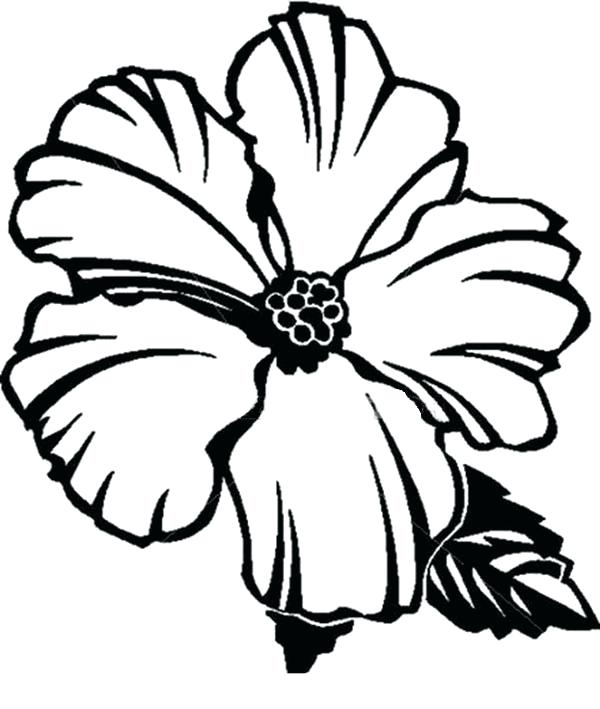 600x709 Hawaiian Flowers Coloring Pages Flower From Coloring Pages Flower