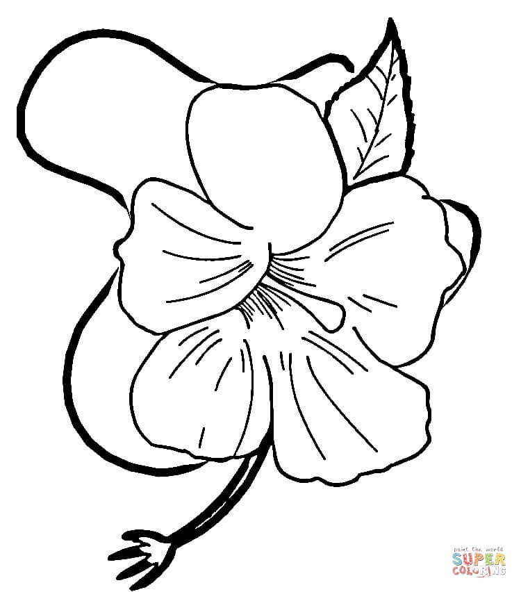 750x852 Hibiscus Flower Coloring Page Free Printable Coloring Pages
