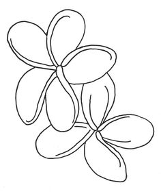 236x286 Pictures How To Draw A Hawaiian Flower,