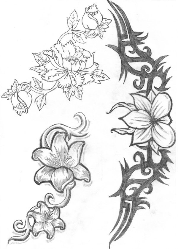 600x837 Flowers Tattoo Drawings