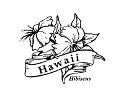 Hawaii Flowers Drawing at GetDrawings | Free download