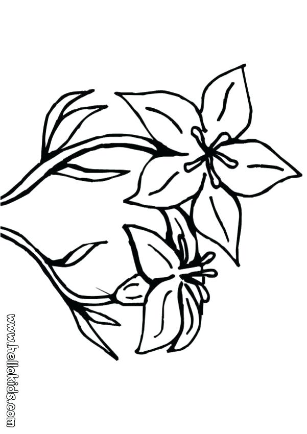 601x850 Hawaiian Flower Coloring Pages Hibiscus Tropical On Drawing Sheets