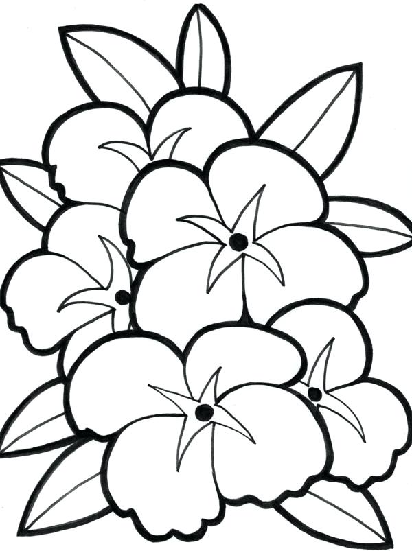 600x803 Hawaiian Flowers Coloring Pages Flower From Coloring Pages Flower