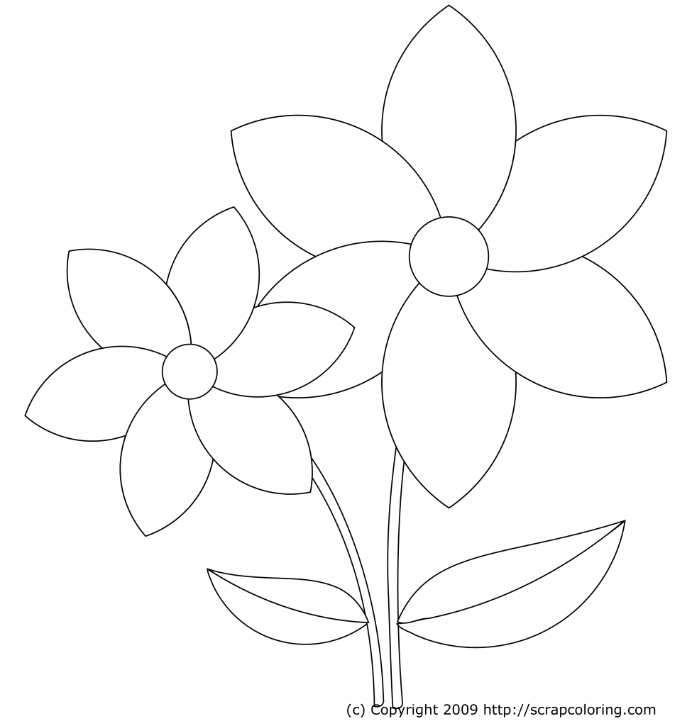 975x1024 How To Draw Beautiful Flowers For Kids How To Draw Hawaiian