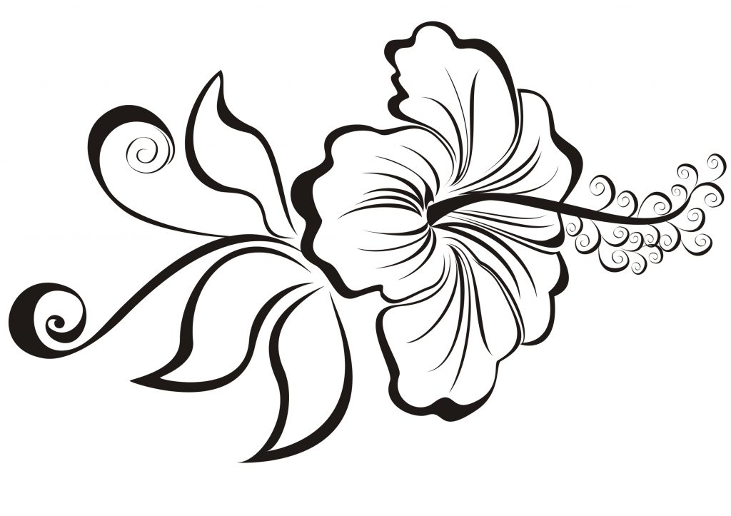 1024x723 Cool Easy Flowers To Draw Coloring Pages Decorative Cool Flowers
