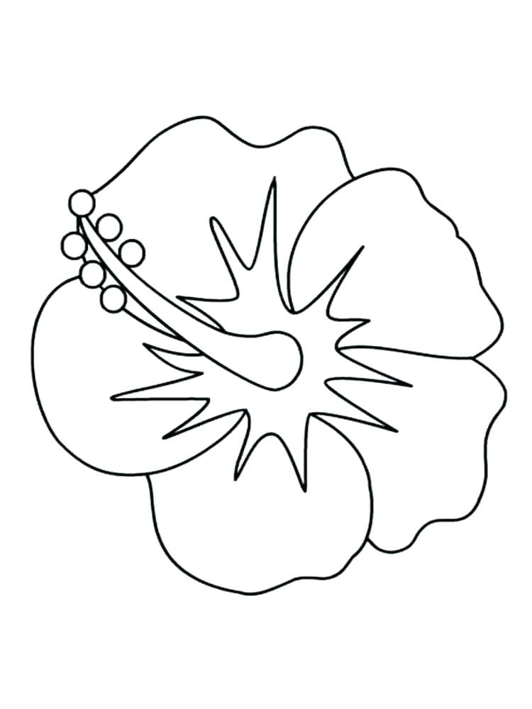 750x1000 Hawaiian Flower Coloring Pages
