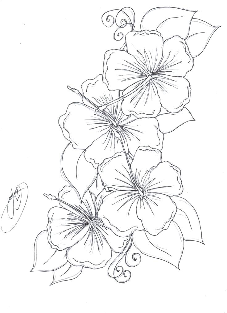 736x1013 Hawaiian Flowers To Color Drawn Hibiscus Flower 1 Free Printable