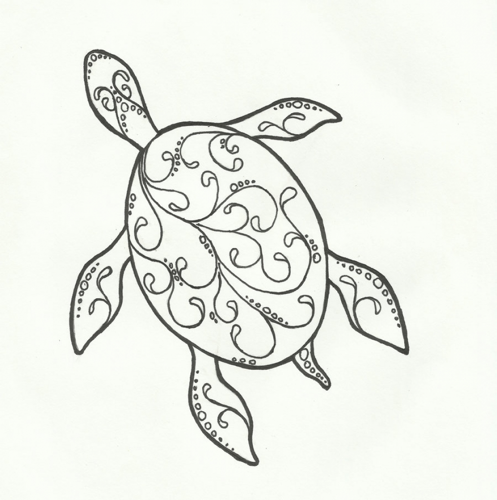 1018x1024 Drawings Of Turtles Excellent Images For Hawaiian Turtle Drawings