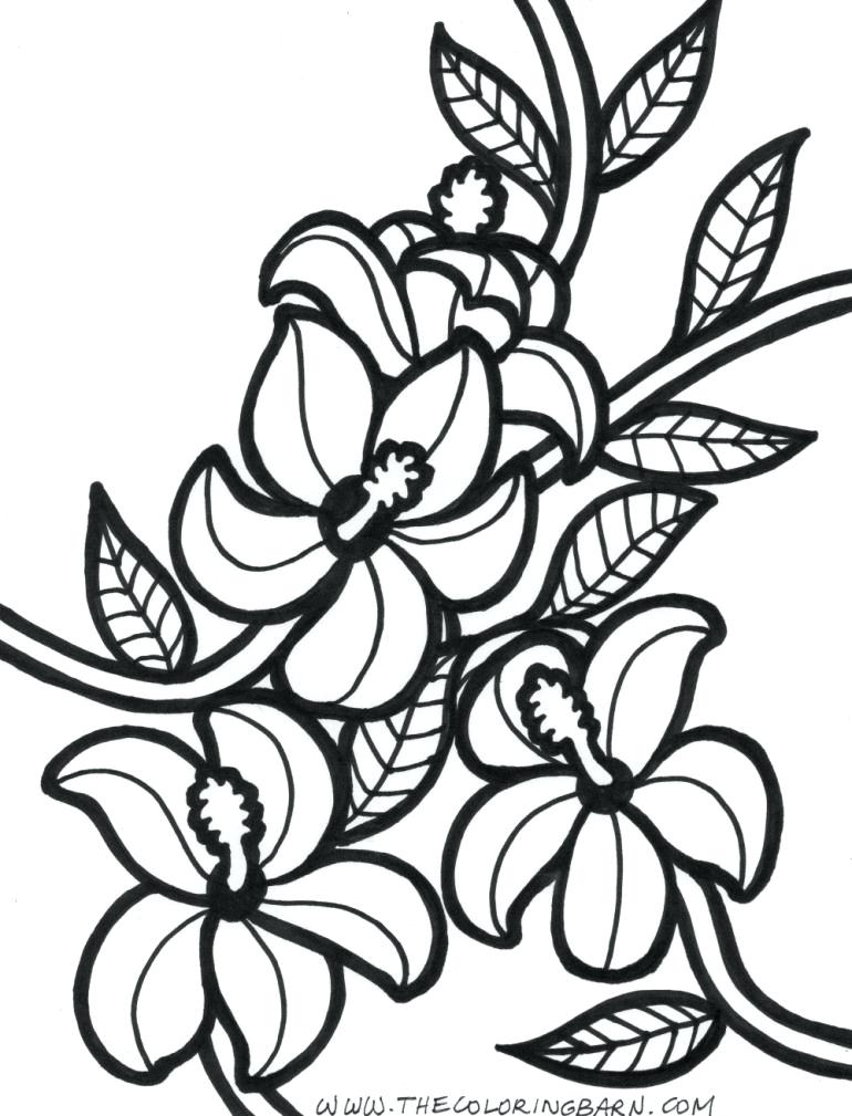 770x1009 Here Are Hawaiian Coloring Pages Pictures Free Coloring Pages