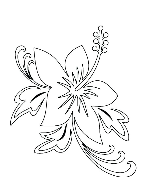 600x776 Hawaiian Flower Coloring Pages Hibiscus Flower Picture Coloring