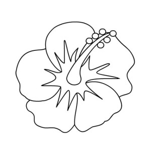300x300 Hibiscus Flower Drawing Coloring Page Color Luna