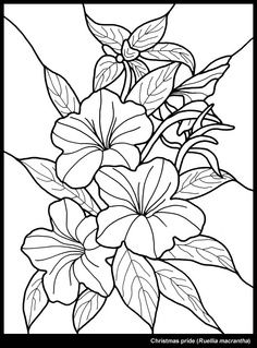 236x319 Hawaiian Flower Christmas Flower Drawing Merry Christmas Amp Happy