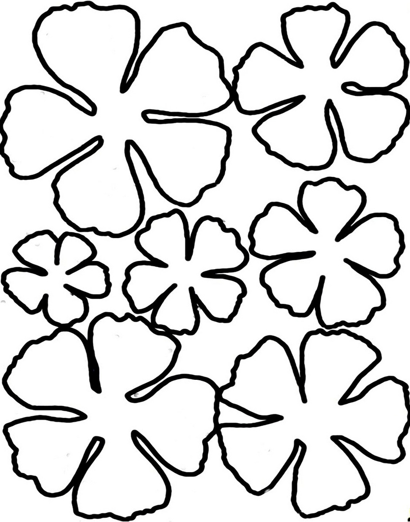 805x1024 Hawaiian Flower Printable Free Download
