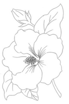 236x354 Drawn Hibiscus Embroidery