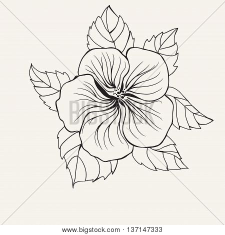 450x470 Hawaii Hibiscus Flower Leaf Vector Amp Photo Bigstock