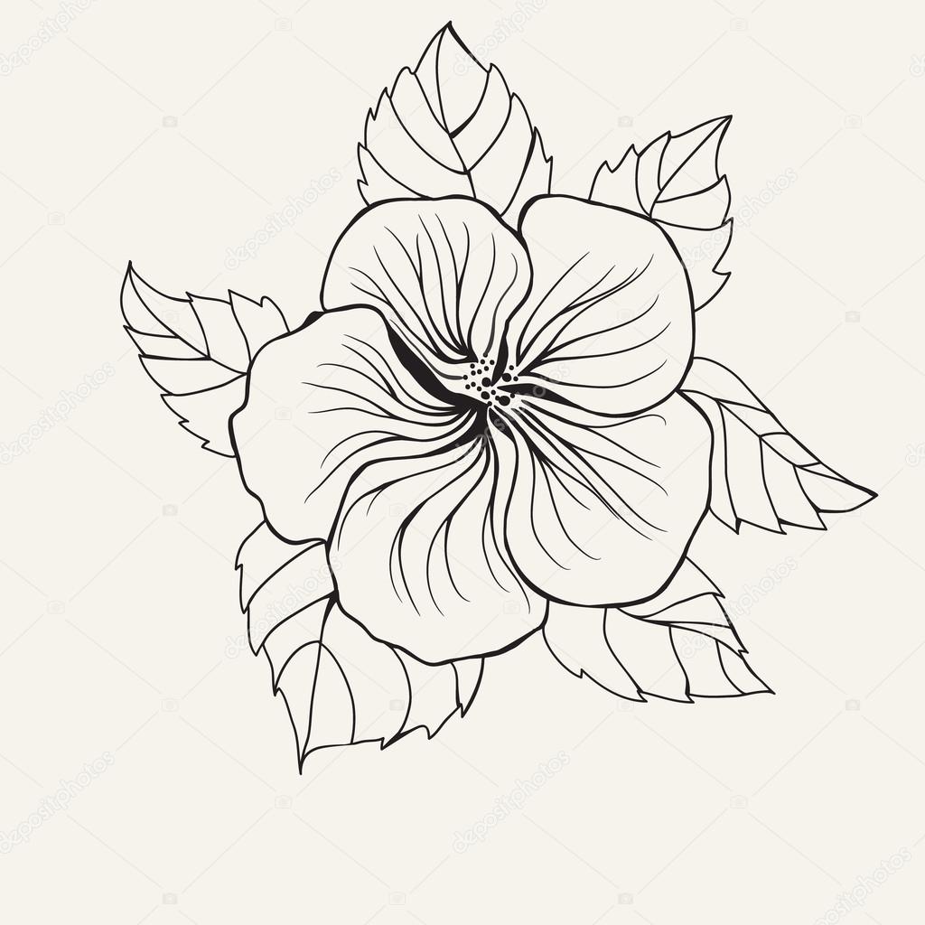 1024x1024 Hawaii Hibiscus Flower, Leaf For Coloring Book Page For Adult