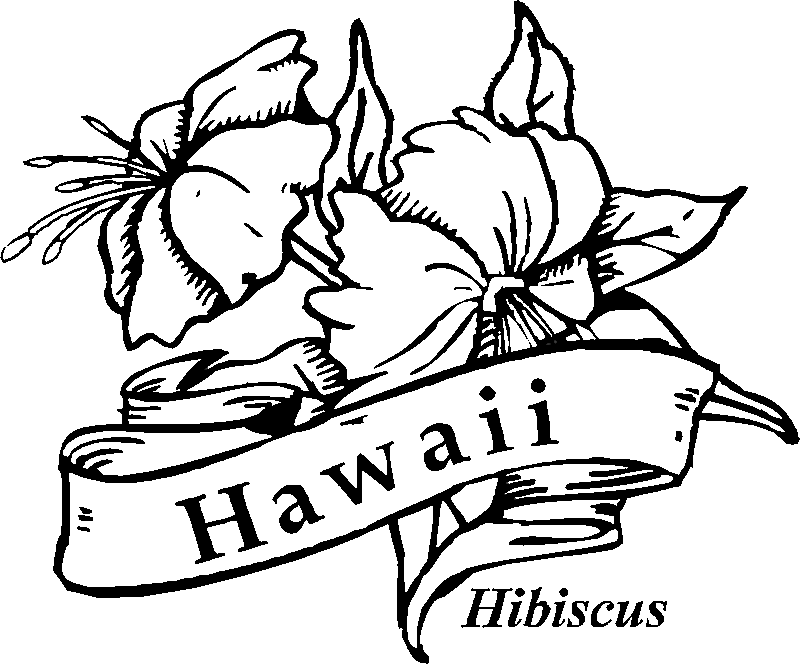800x665 Hawaiian Hibiscus Flower Coloring Pages
