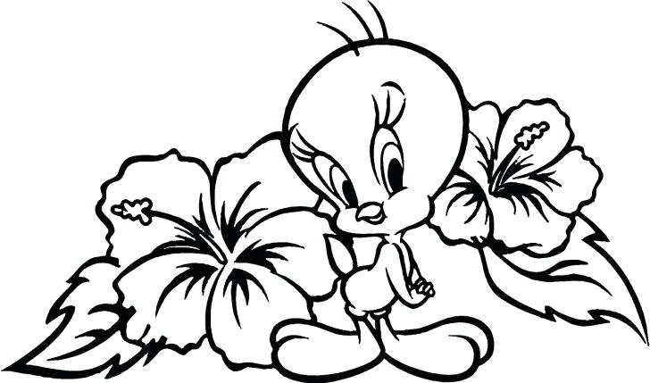 728x429 Hibiscus Flower Coloring Pages Fancy Coloring Pages Flowers In