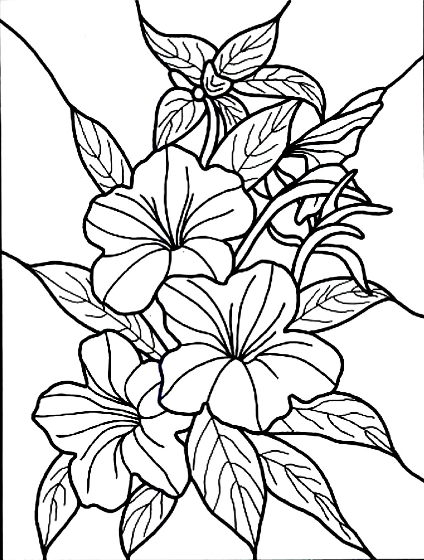850x1122 Hibiscus With Flowers Coloring Book Colorful Flowers