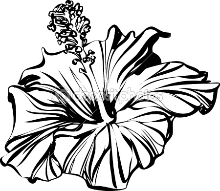 450x391 Hibiscus Outline Flowers