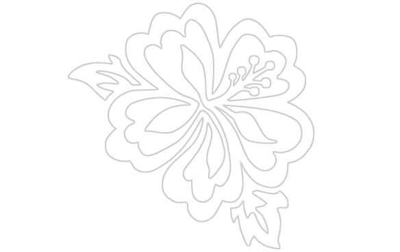 584x368 City Hibiscus