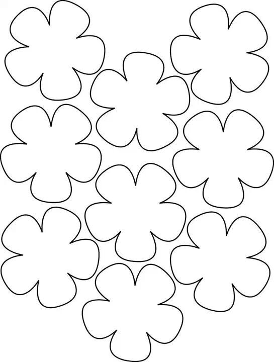 Hawaiian Lei Drawing