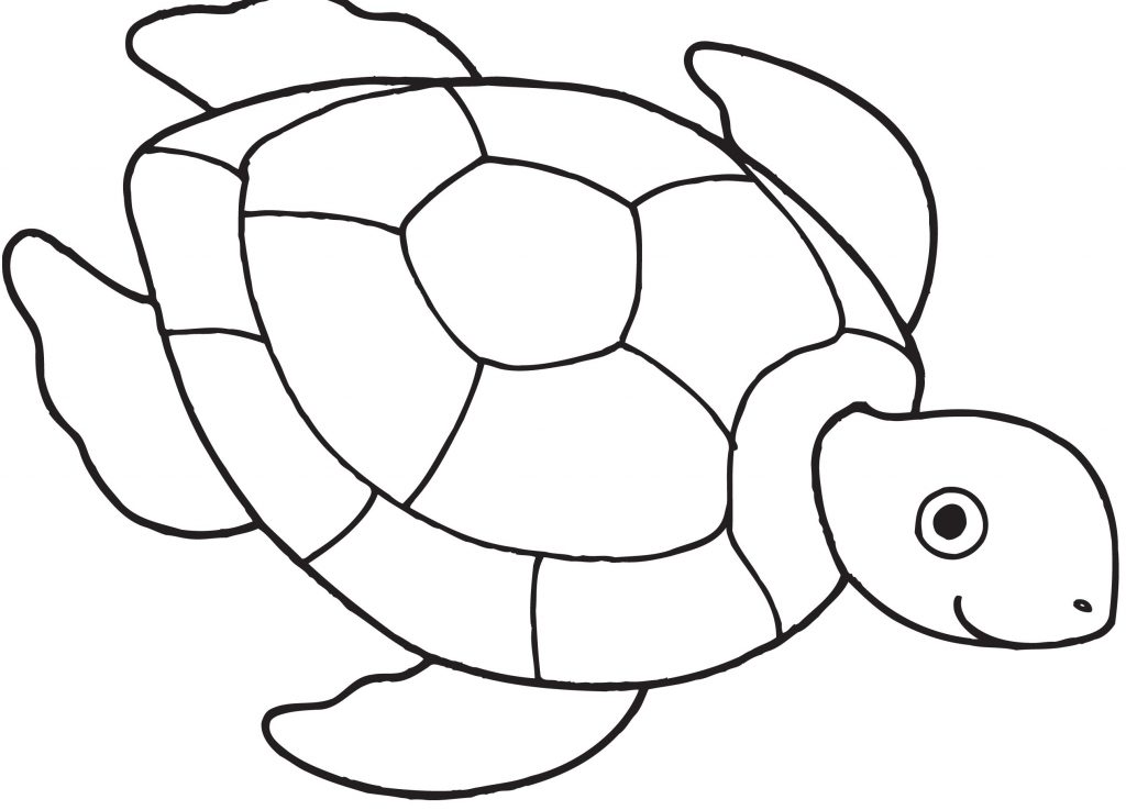 Hawaiian Turtle Drawing at GetDrawings | Free download