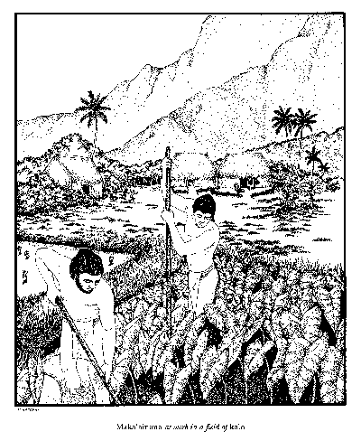 400x488 Ulukau From The Mountains To The Sea Early Hawaiian Life