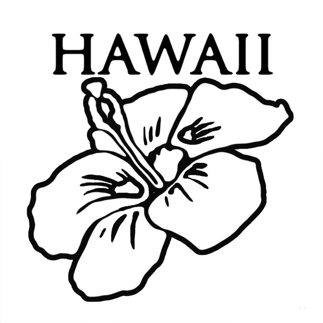 Hawaiiflower Drawing