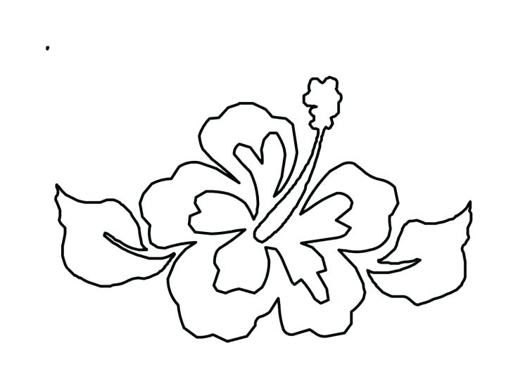 736x552 Hawaii Flower Coloring Pages From Hibiscus Printable