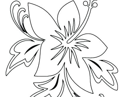 440x330 Hawaii Flower Coloring Pages Printable Flowers S