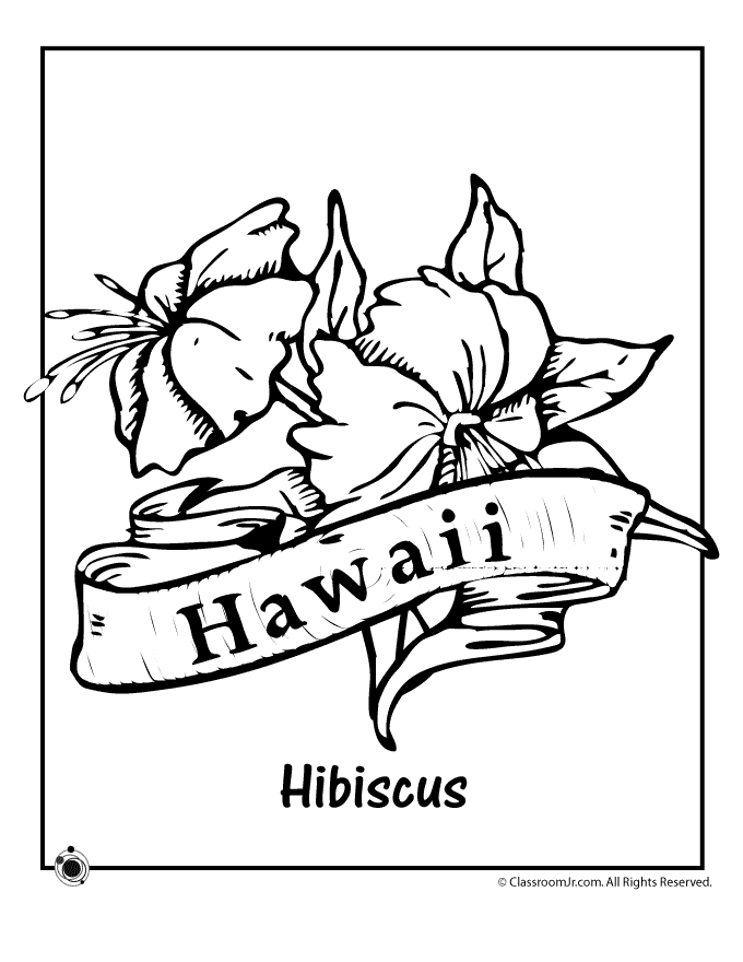 680x880 Hawaii State Flower Coloring Page