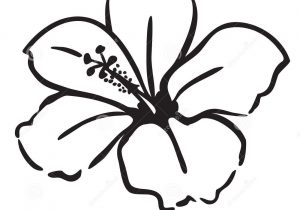 300x210 Hawaiian Flower Drawing Drawn Hibiscus Hawaii Flower