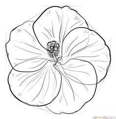 236x242 Best Hawaii Flowers Drawing Ideas On Hawaiian