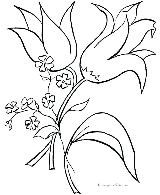 670x820 Hawaiian Flowers Coloring Pages Flower Coloring Page Hawaii State