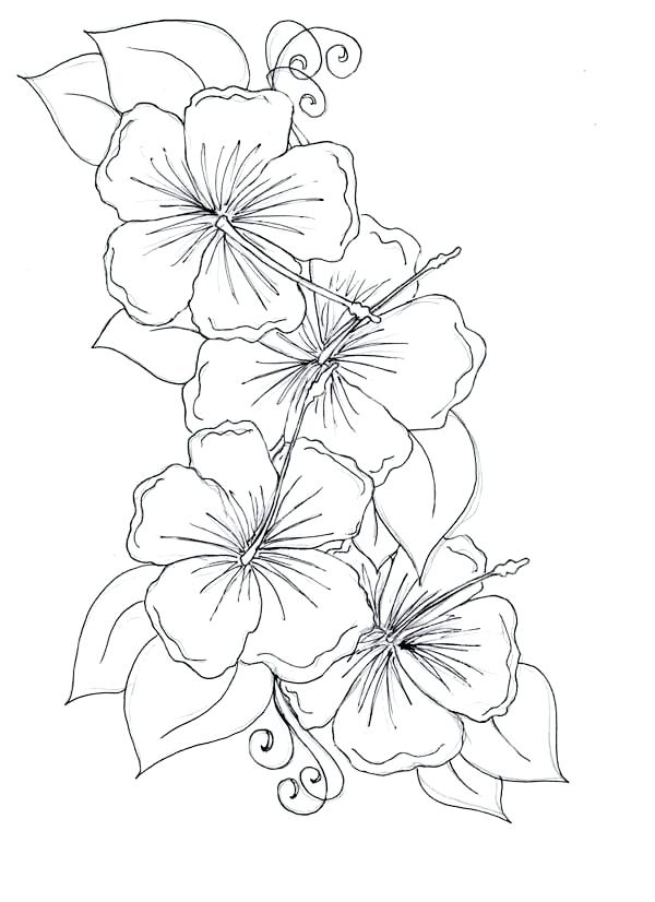 600x826 Hawaiian Flowers Coloring Pages Flowers Coloring Pages Printable