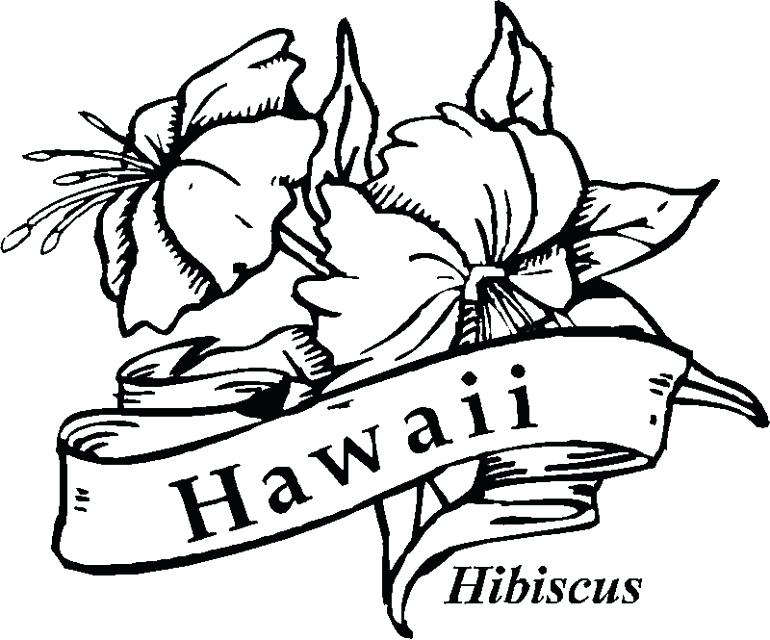 770x640 Hawaiian Flowers To Color Beautiful Flower Coloring Pages Coloring