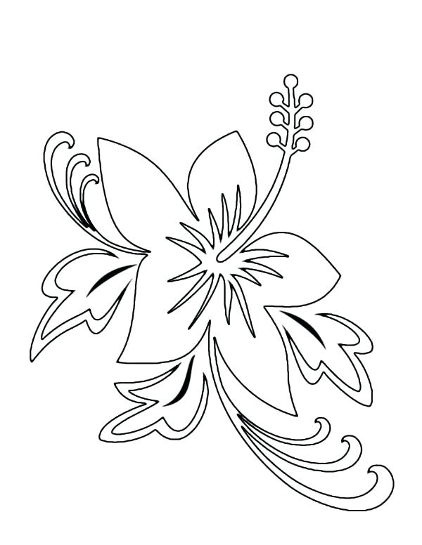 600x776 Hawaiian Flowers To Color Beautiful Flower Drawings And Realistic