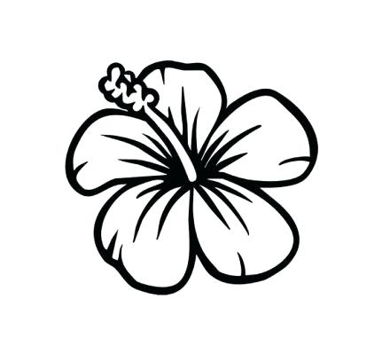 431x399 Hawaiian Flowers Coloring Pages Best Collection Coloring Pages