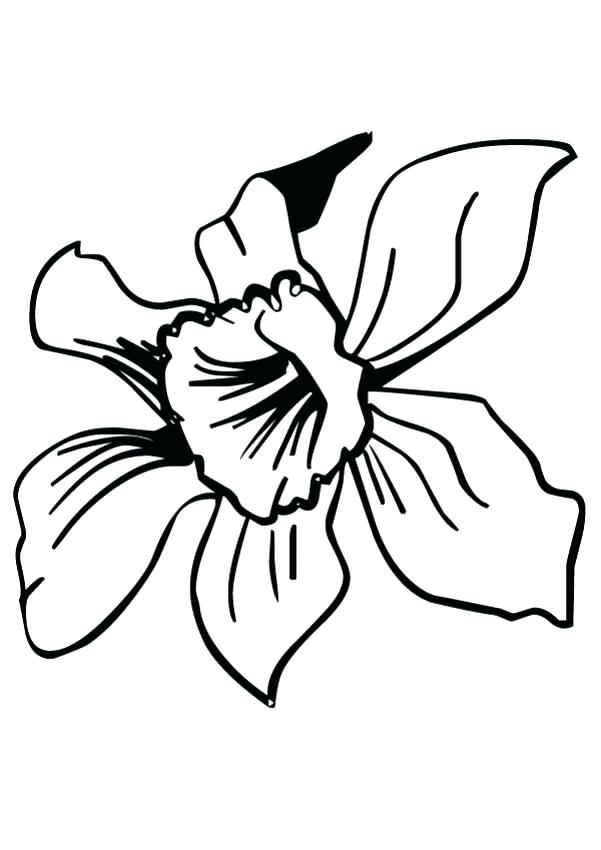601x850 Hawaii Flowers Coloring Pages Best Ideas On Tropical Of For Adults