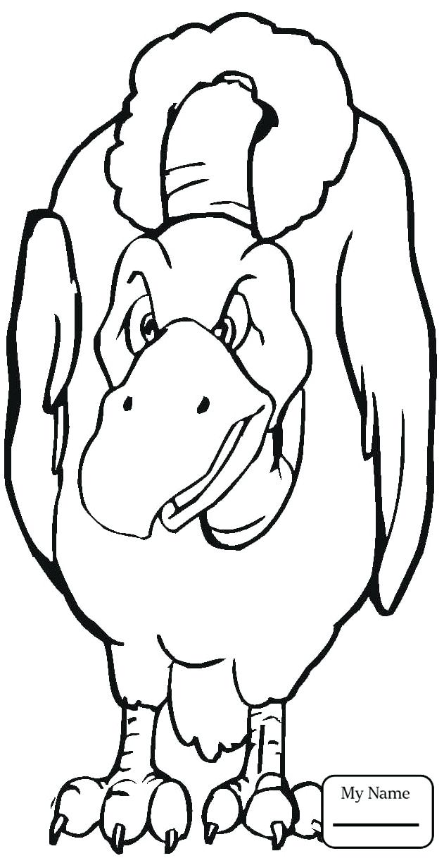 631x1224 Coloring Pictures Of Birds Flying Coloring Pages Birds Realistic