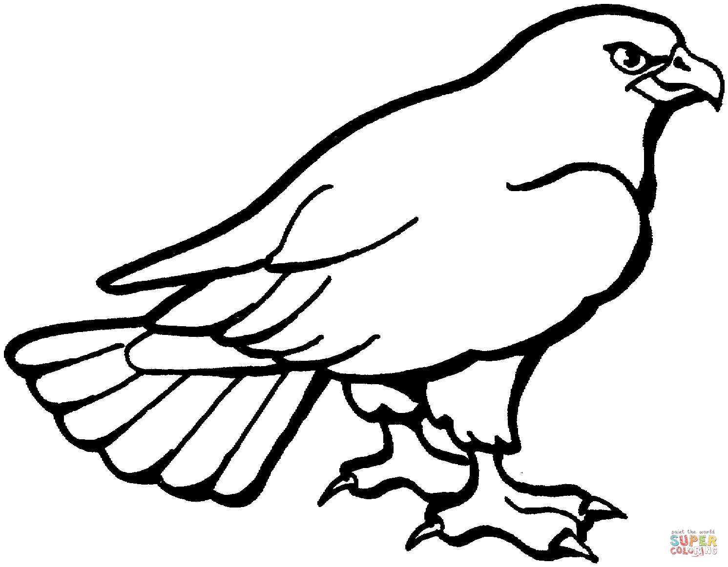 1491x1163 Cartoon Hawk Coloring Pages