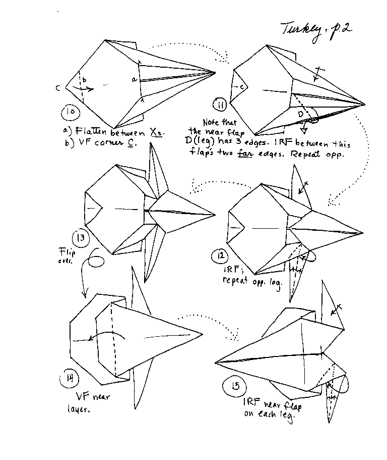 Hawk Drawing Step By Step at GetDrawings | Free download