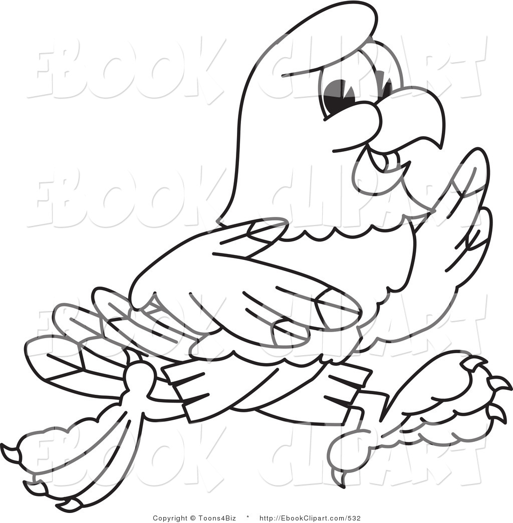 1024x1044 Hawk Clipart Draw