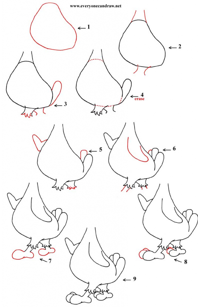 662x1024 How To Draw A Cartoon Bird How To Draw A Cartoon Hawk Step Step