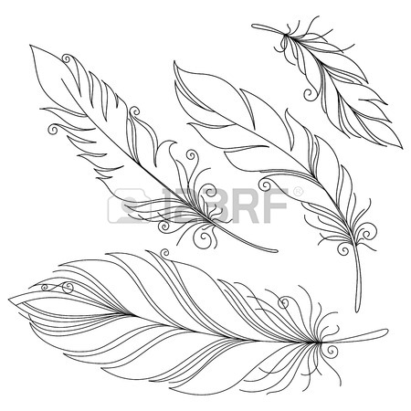 450x450 Feather Stock Photos. Royalty Free Business Images