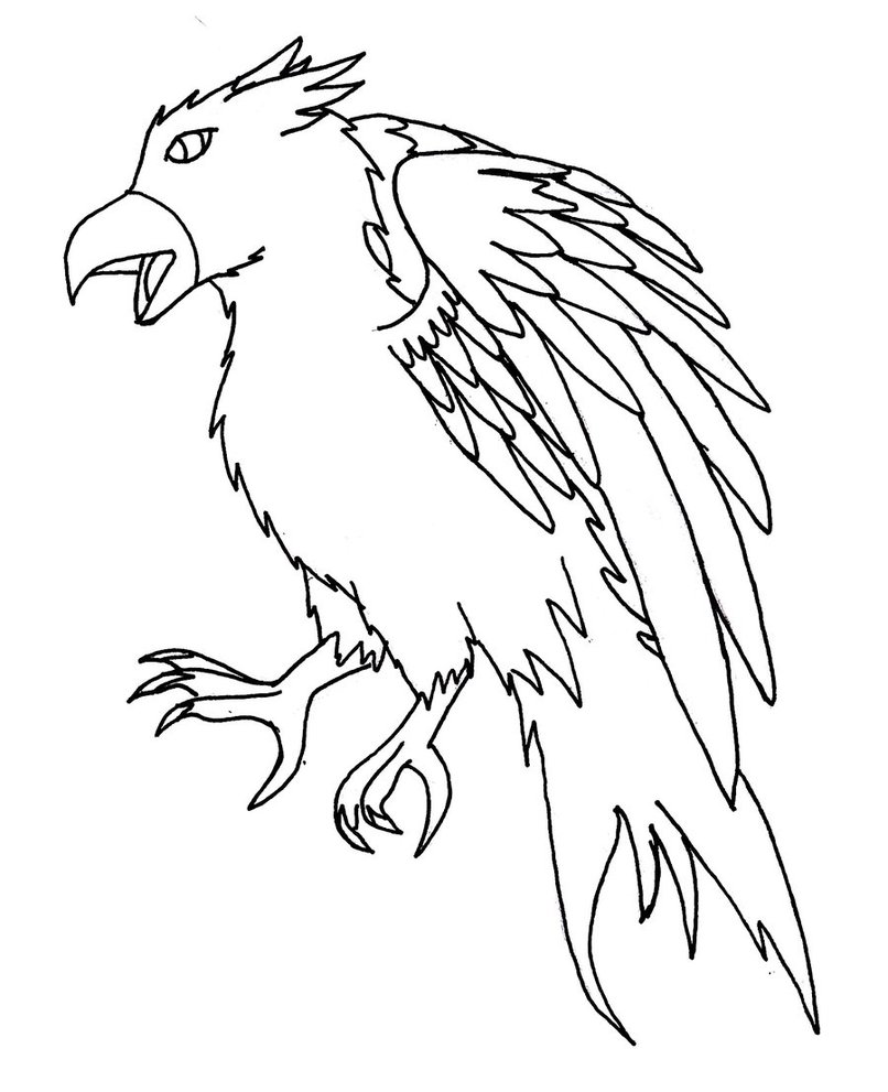 806x991 Hawk Lineart Male By Sirenarose034